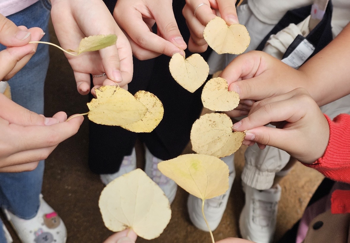 Midongsan Arboretum Offers a Special Journey with Nature through Forest Interpretation Programs image