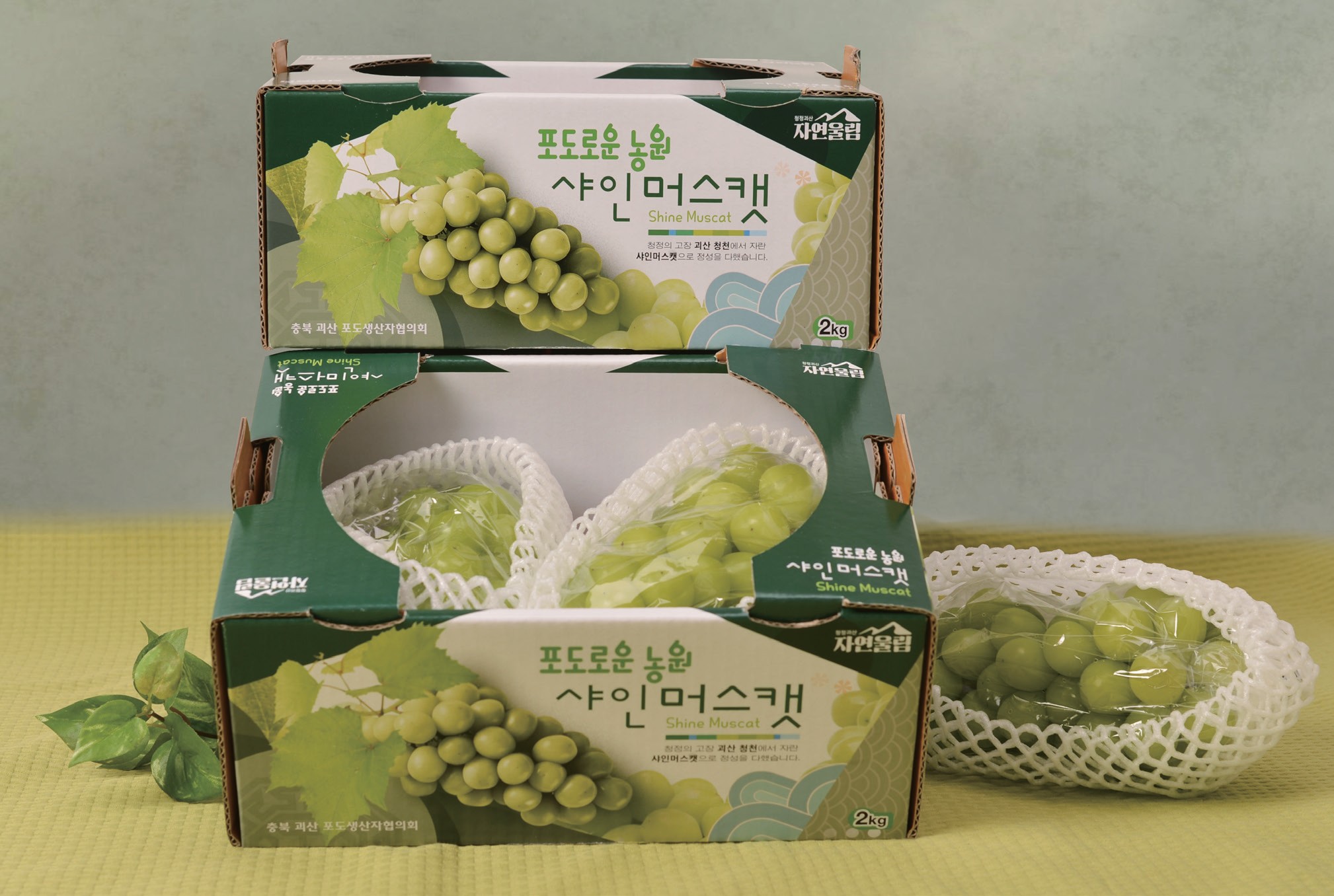 충북괴산포도생산자협의회