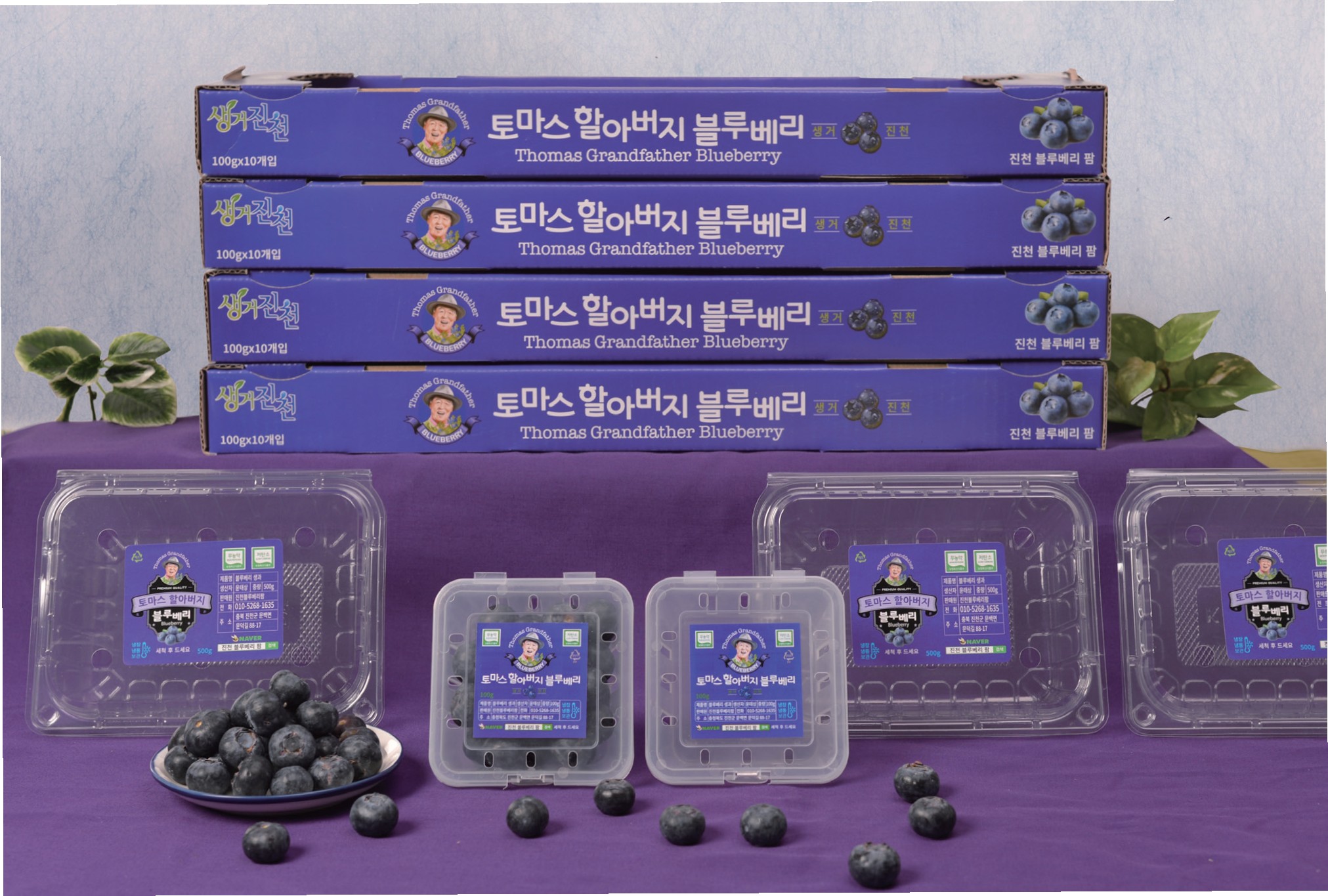 진천블루베리팜