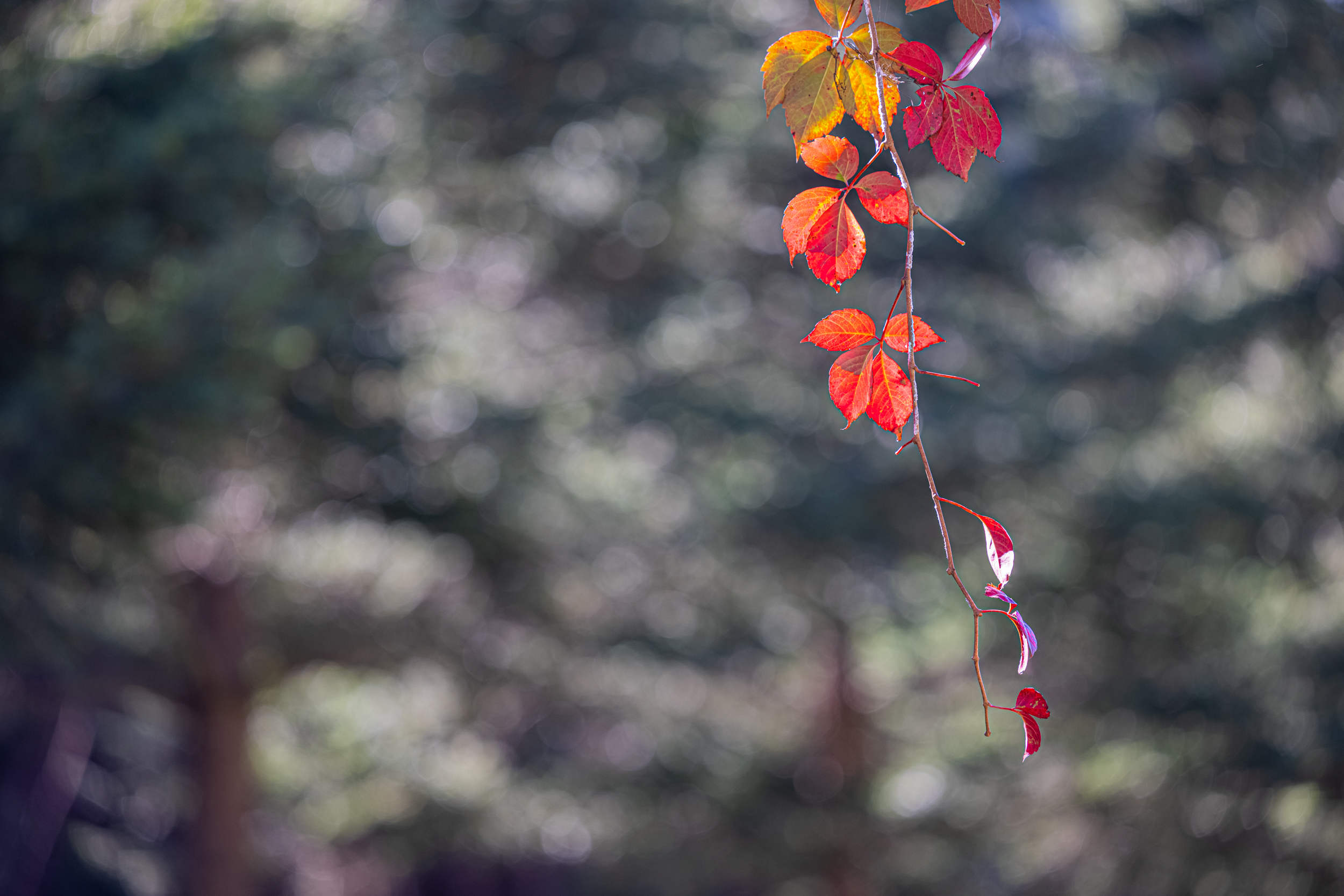 가을깊어가는 미동산 이미지1