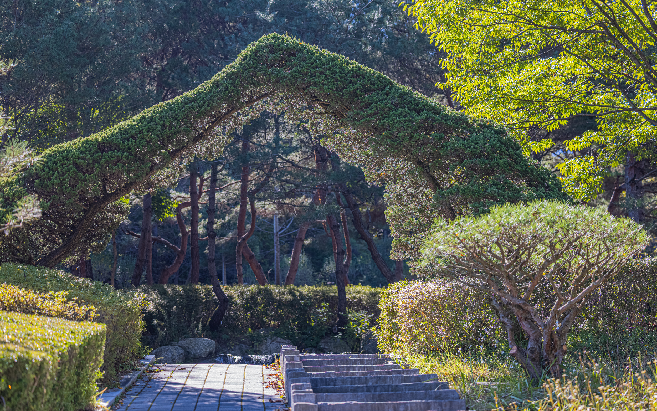 산림환경연구소