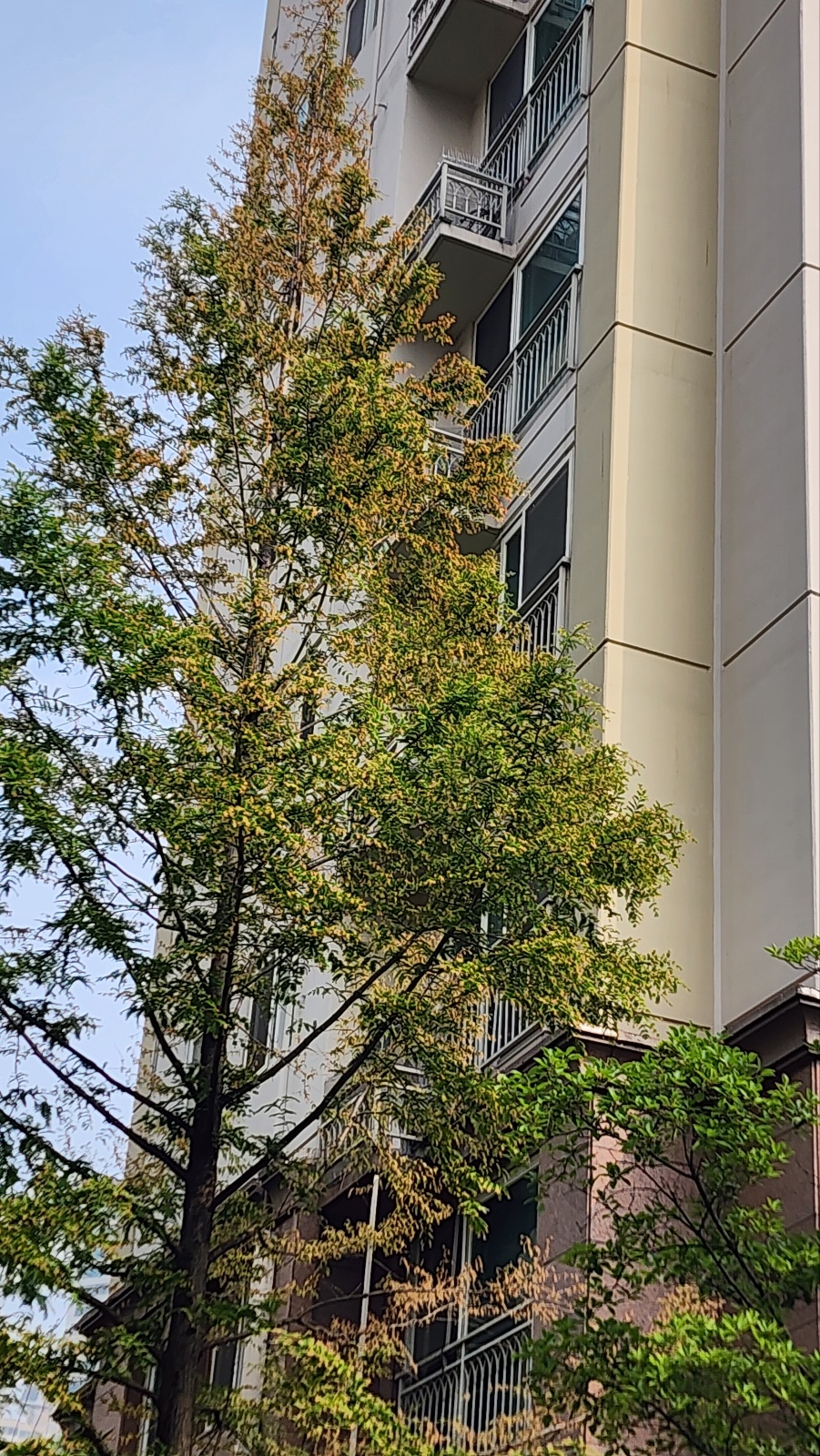 메타스퀘어 나무가 이상 합니다 이미지2