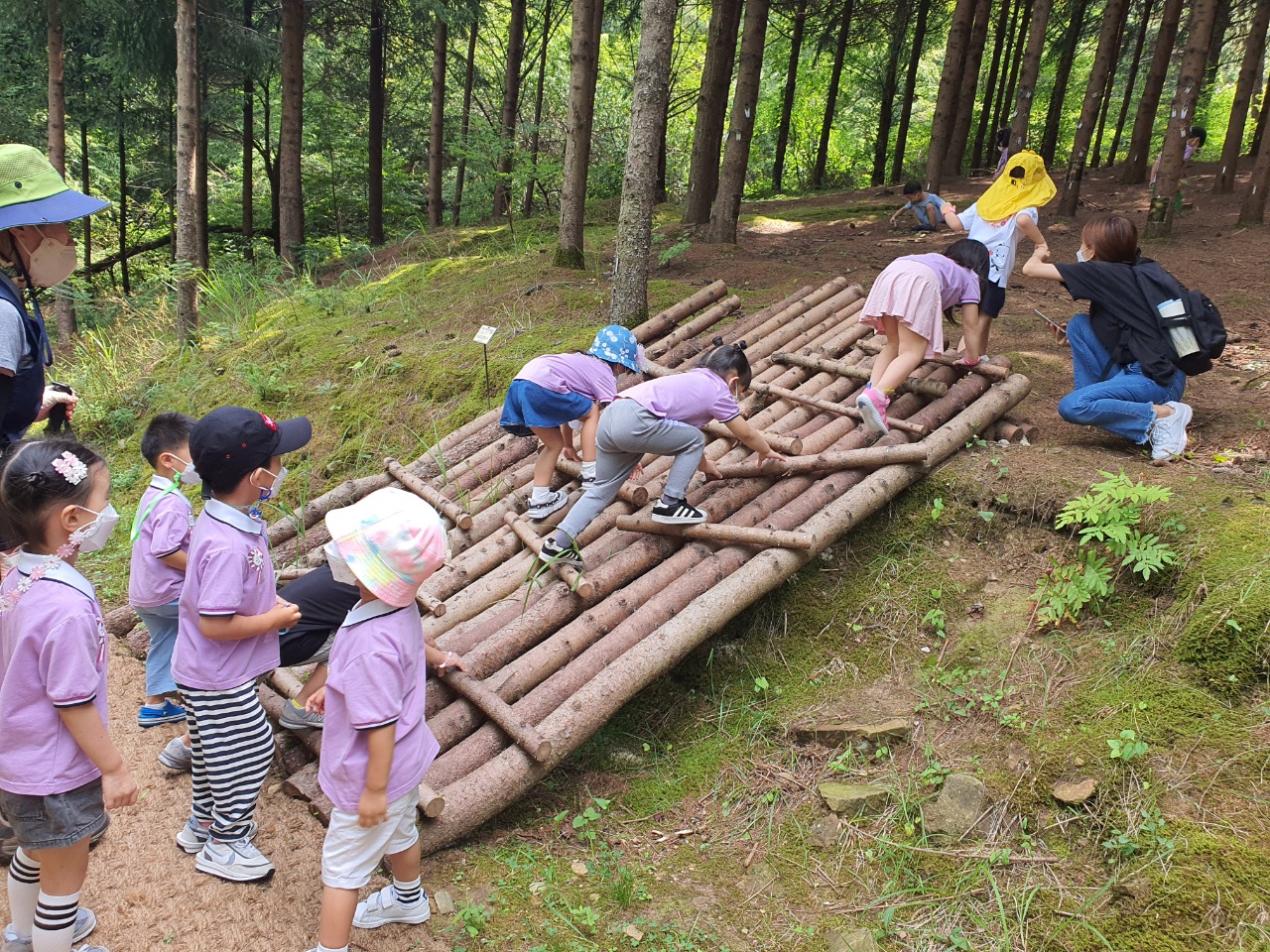 8월 유아숲 활동입니다. 이미지2