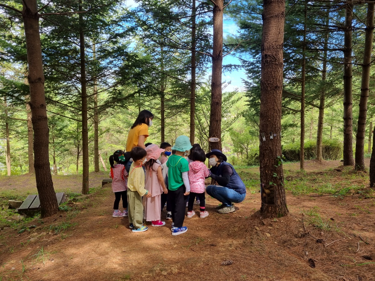 8월 유아숲 활동입니다. 이미지4