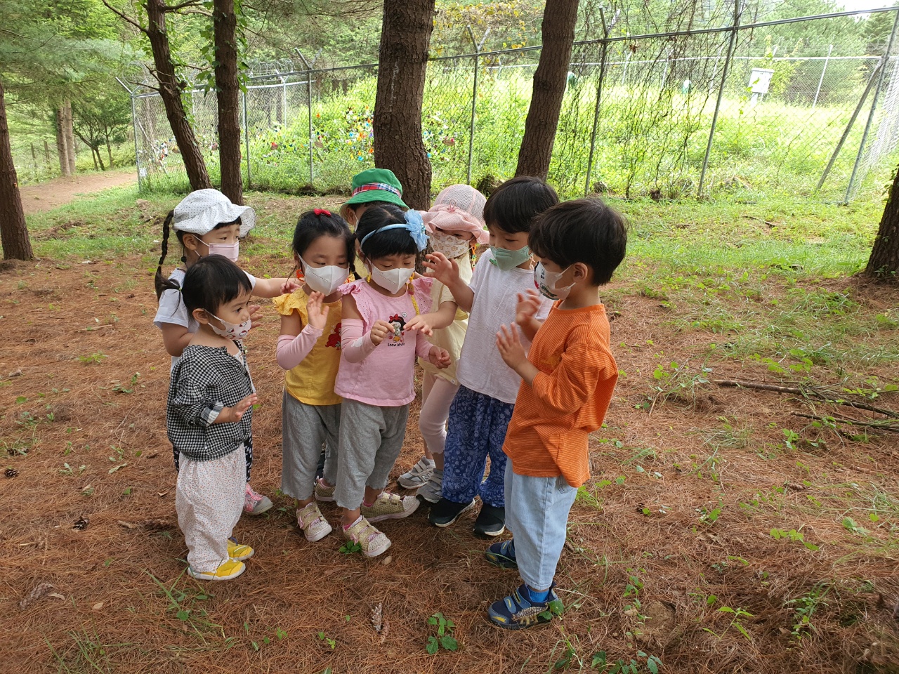 8월 유아숲 활동입니다. 이미지5