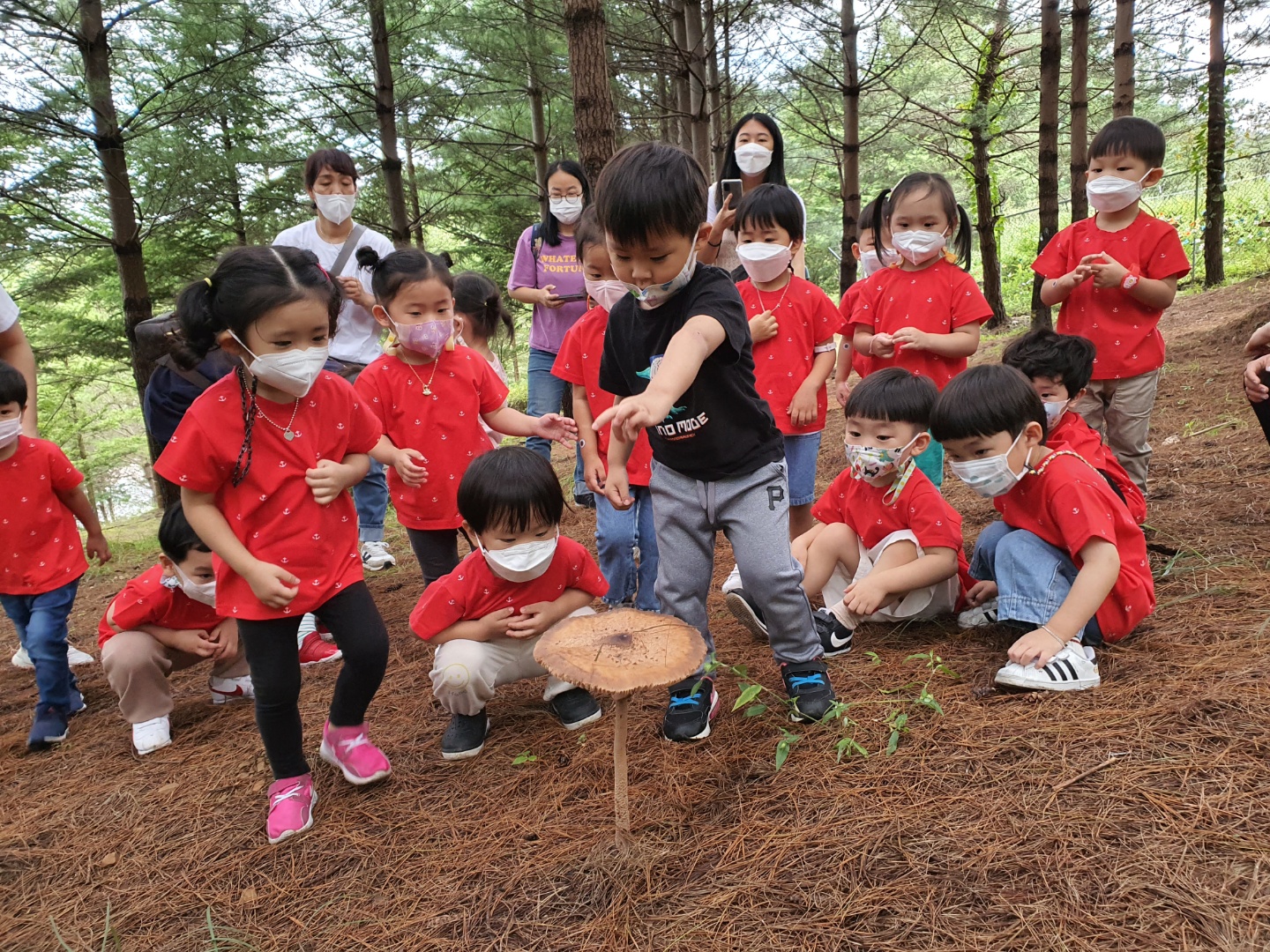 9월 유아숲활동입니다 이미지2