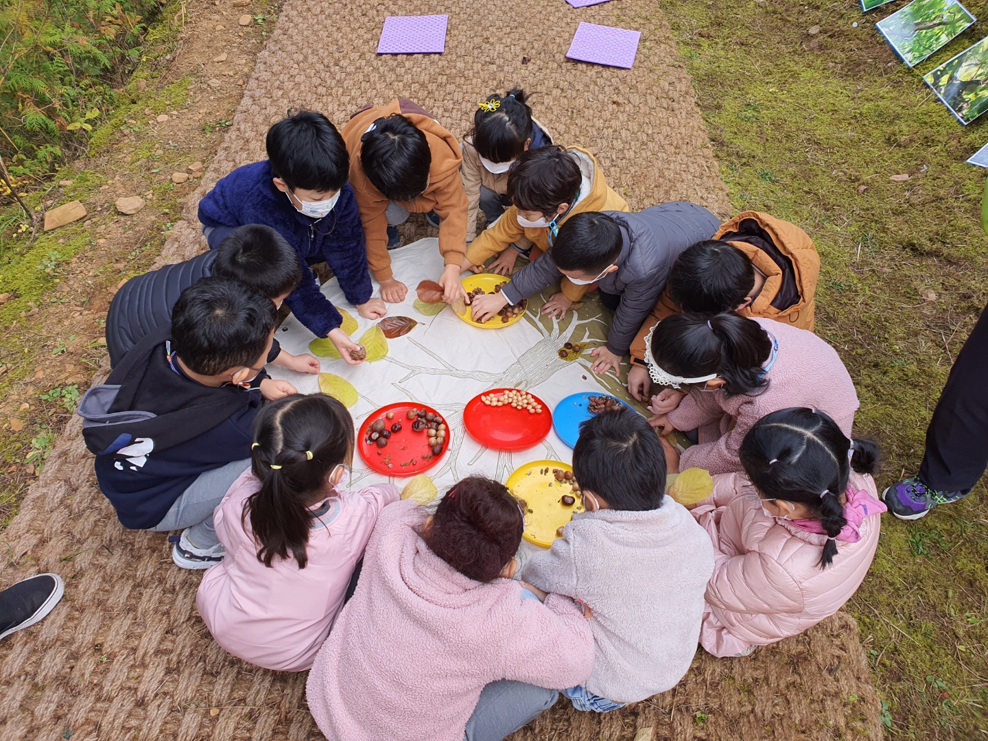 11월 유아숲 활동입니다. 이미지2
