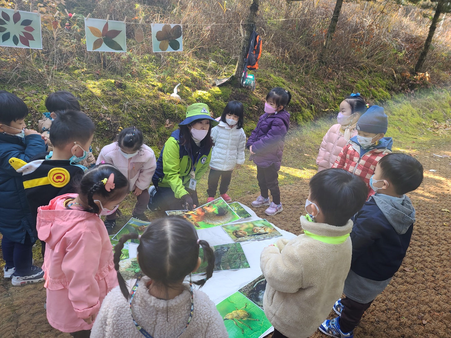 11월 유아숲 활동입니다. 이미지3