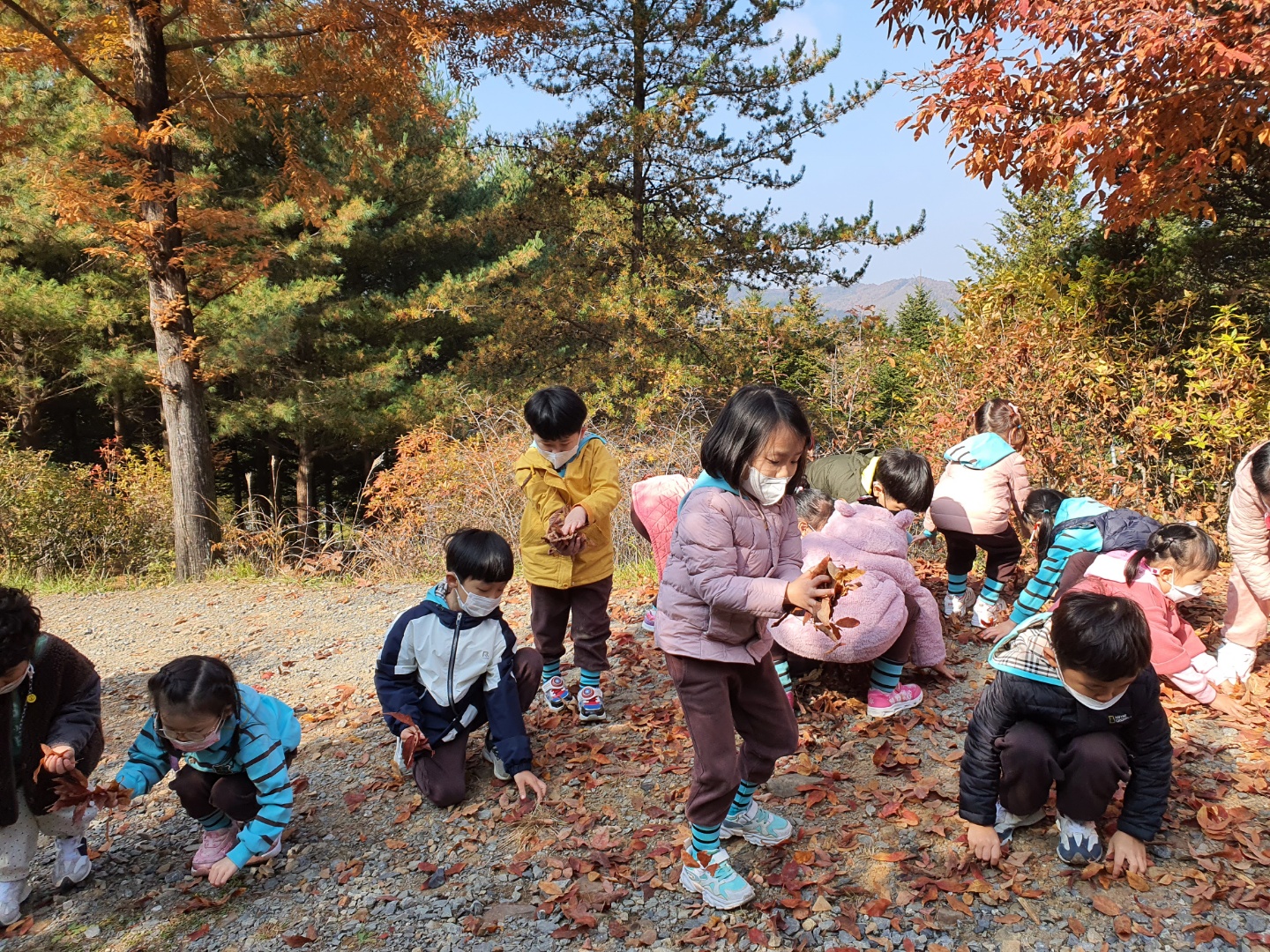 11월 유아숲 활동입니다. 이미지5