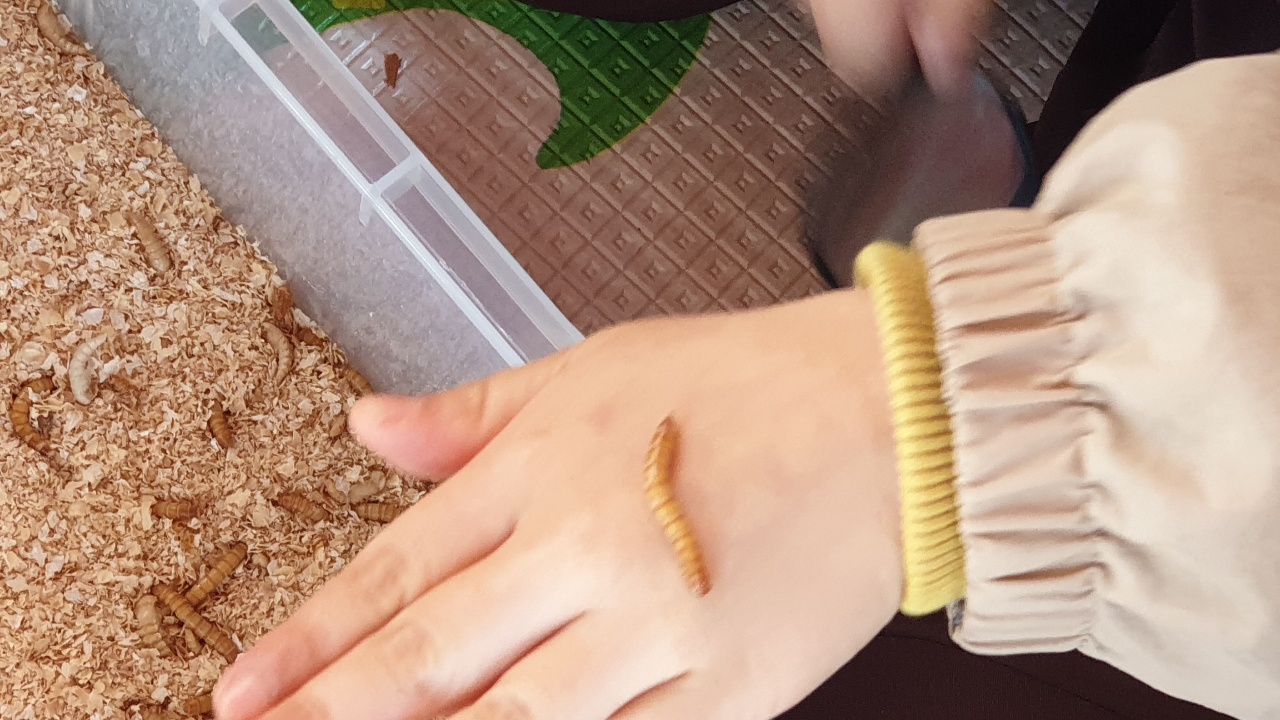 4월 유아숲 활동모습입니다. 이미지4