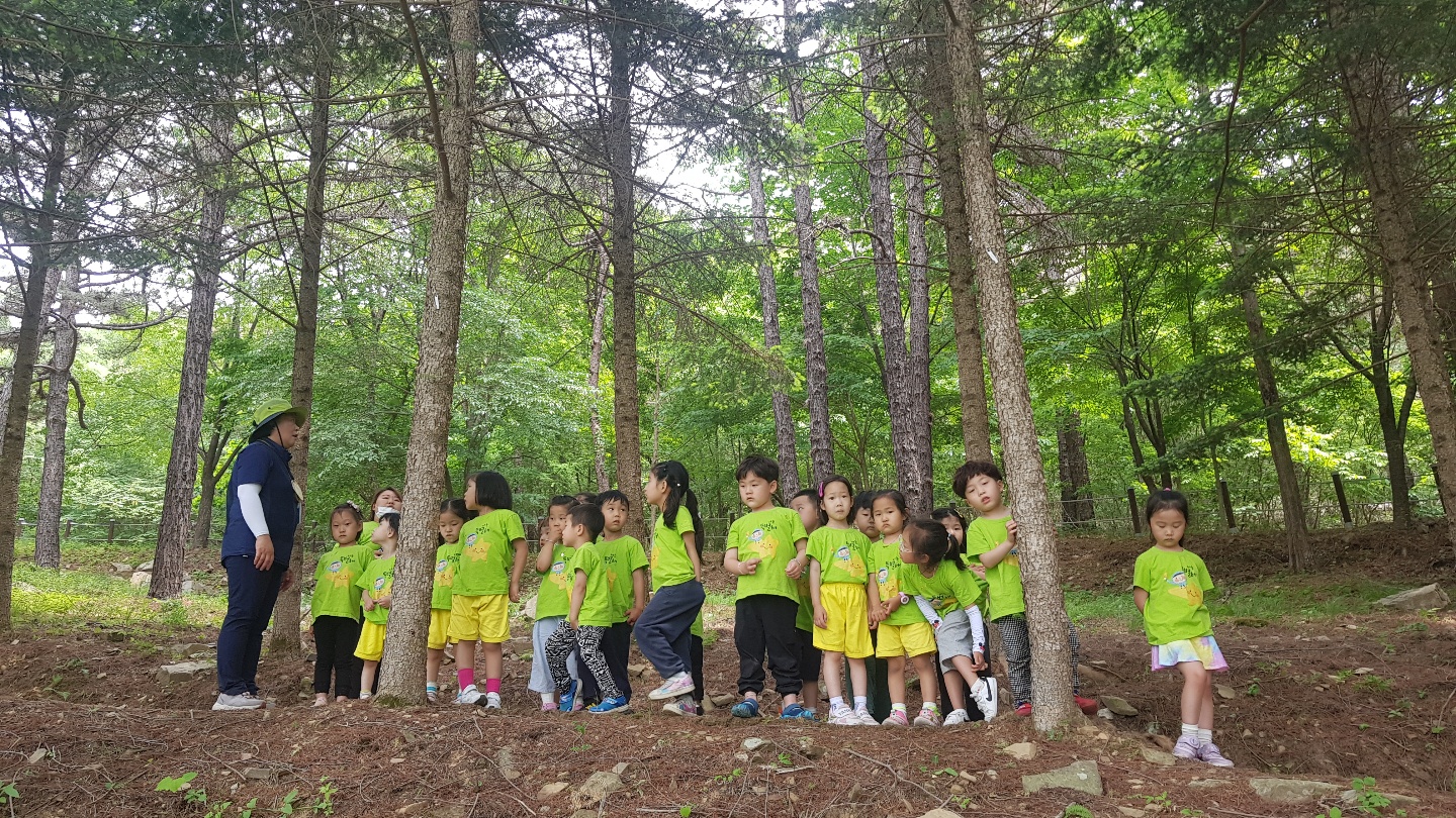 5월 유아숲 활동모습입니다. 이미지2