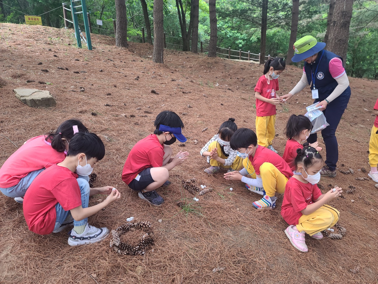 5월 유아숲 활동모습입니다. 이미지3