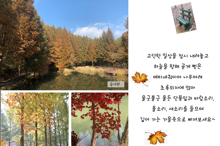 11월의 편지 이미지2