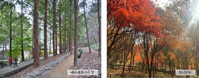 11월의 편지 이미지3