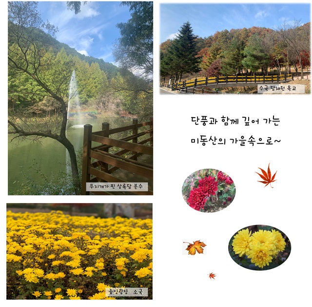 11월의 편지 이미지4