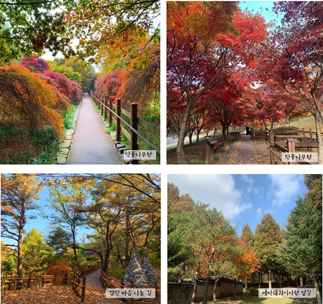 11월의 편지 이미지5