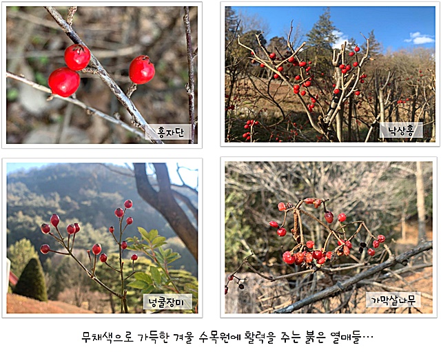 12월의 편지 이미지3