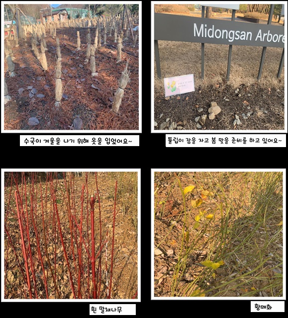 12월의 편지 이미지4