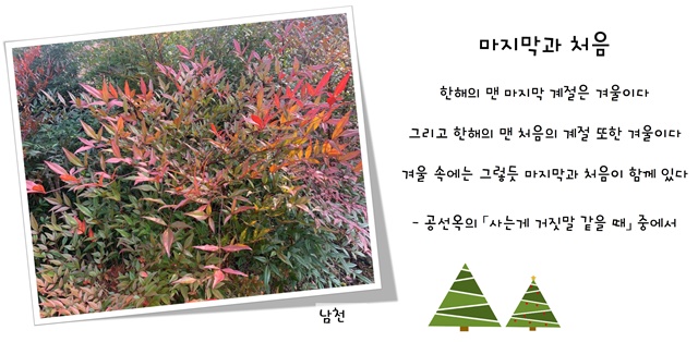 12월의 편지 이미지5