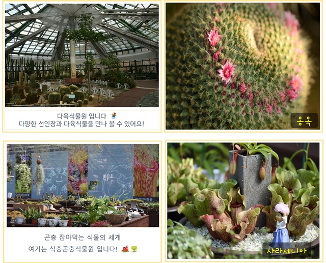 2월의 편지 이미지2