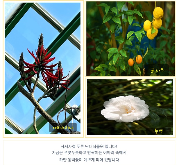 2월의 편지 이미지3