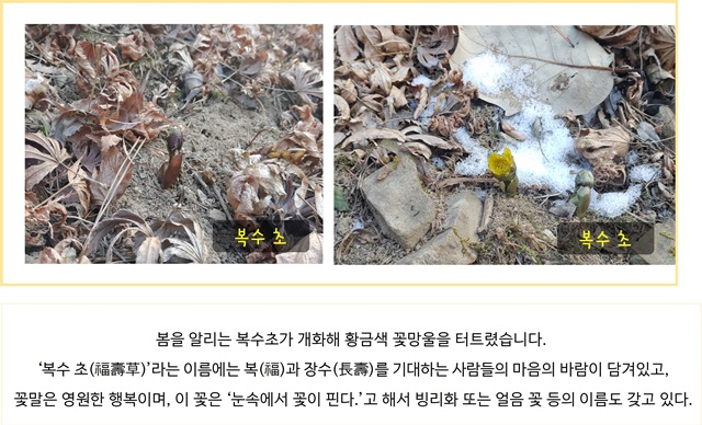 2월의 편지 이미지4