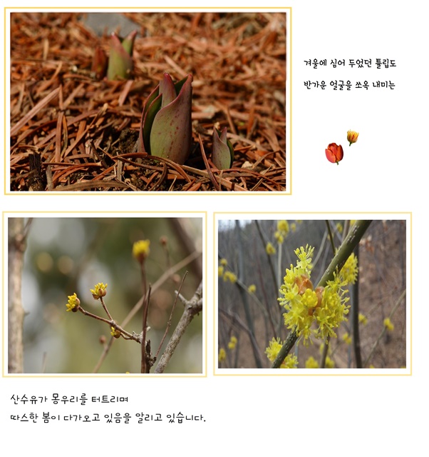 미동산 수목원의  소식 이미지2