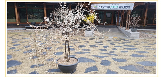 미동산 수목원의  소식 이미지3