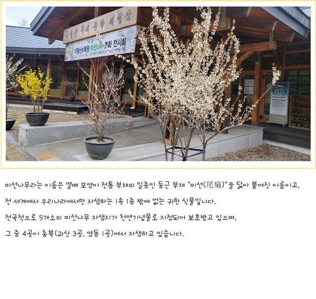 미동산 수목원의  소식 이미지4