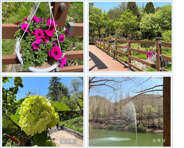 싱그러움이 가득한 미동산 이미지2