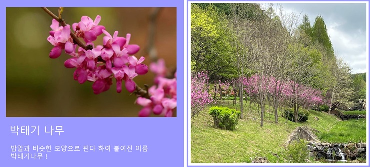 싱그러움이 가득한 미동산 이미지3