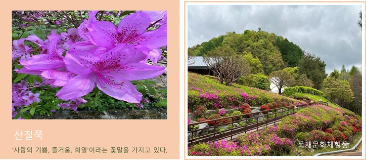 싱그러움이 가득한 미동산 이미지4