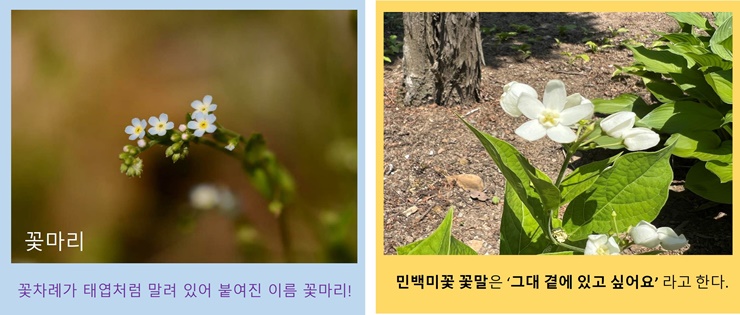 싱그러움이 가득한 미동산 이미지5