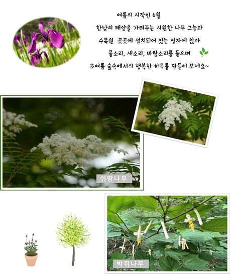 6월의 미동산, 그리고 식물들의 이야기 이미지2