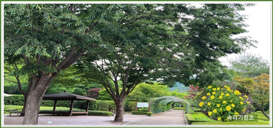 6월의 미동산, 그리고 식물들의 이야기 이미지3