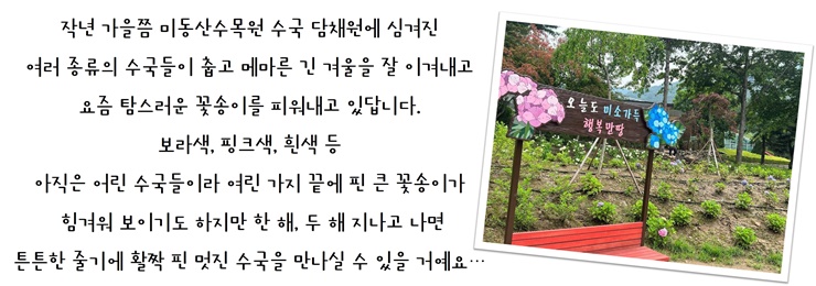 수국담채원 이미지2