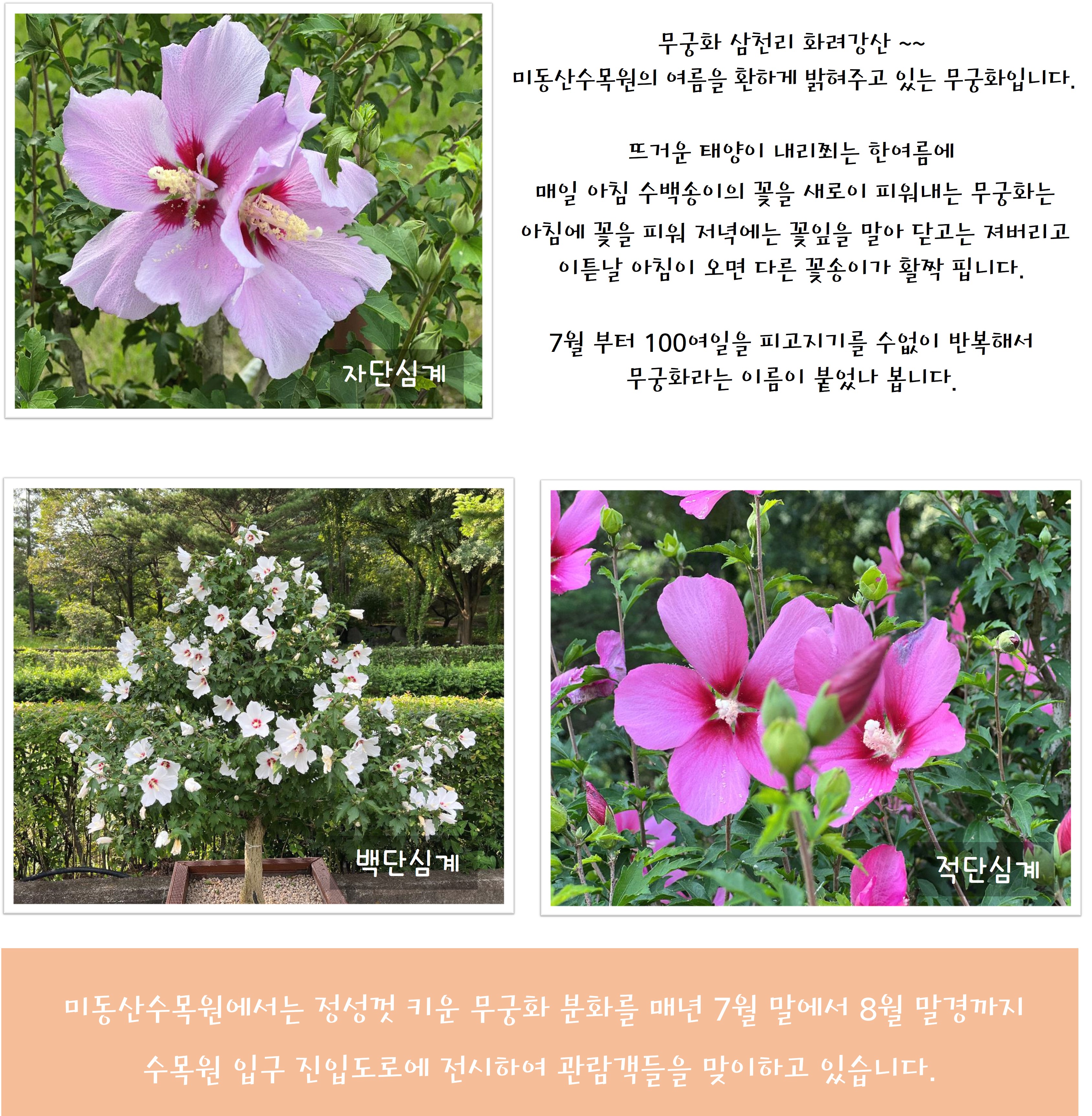산림환경연구소