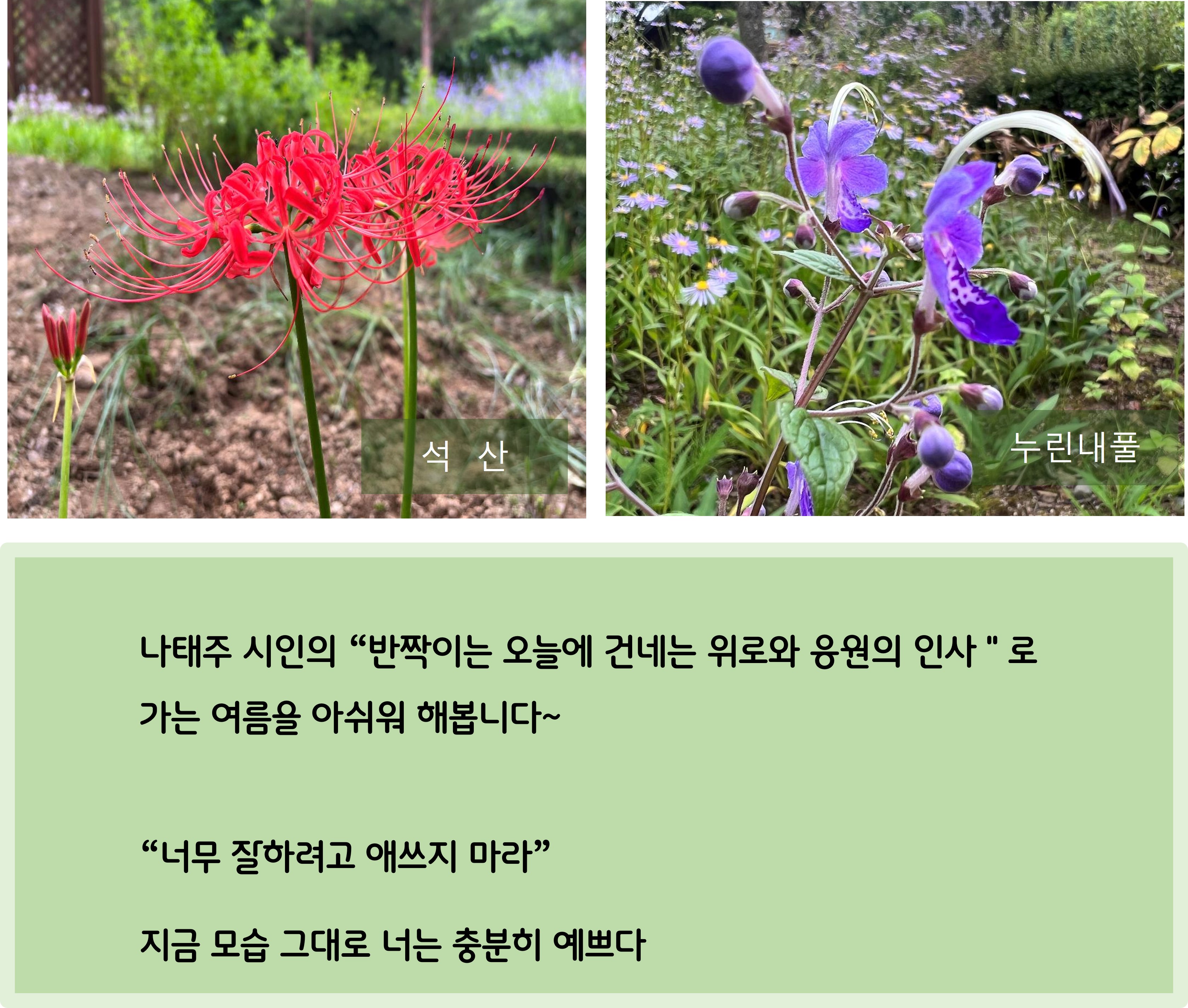 여름의 끝자락 미동산 수목원 이미지4