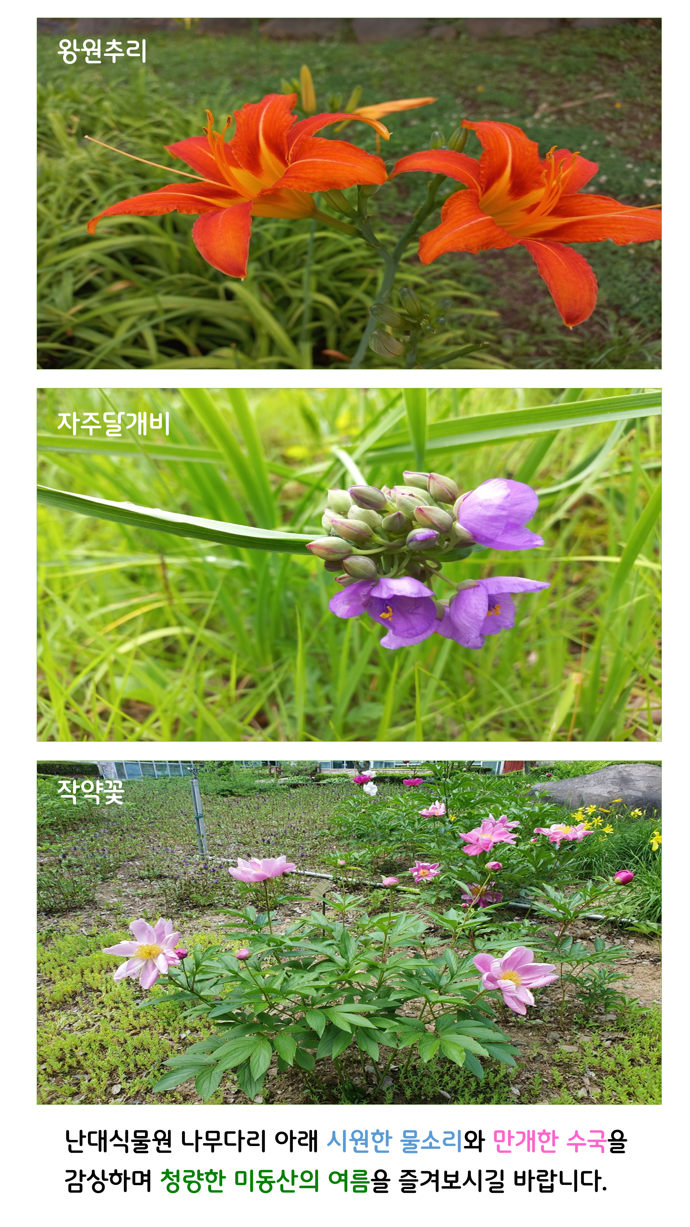 산림환경연구소