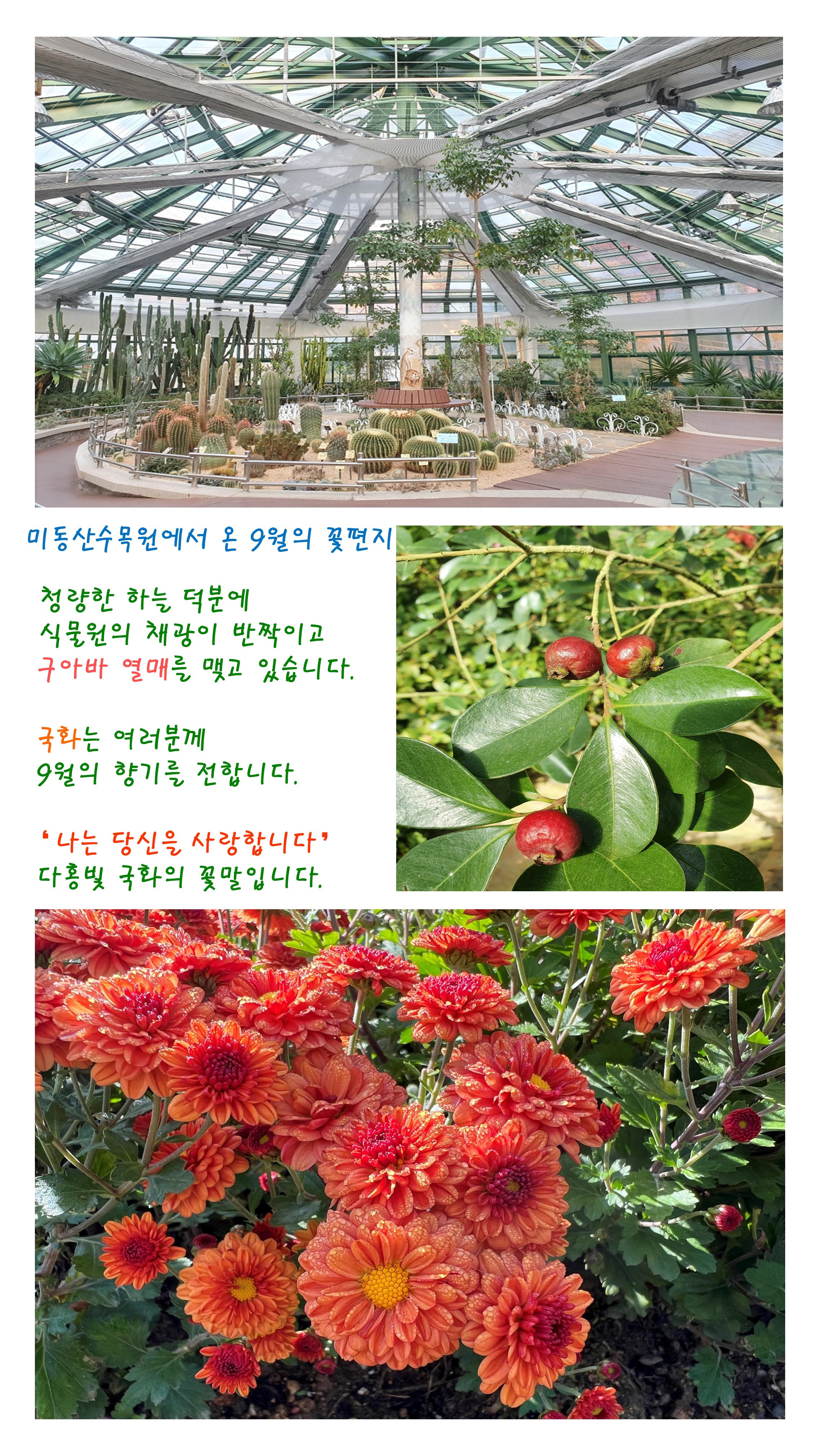 9월의 꽃편지 나무이야기 이미지2