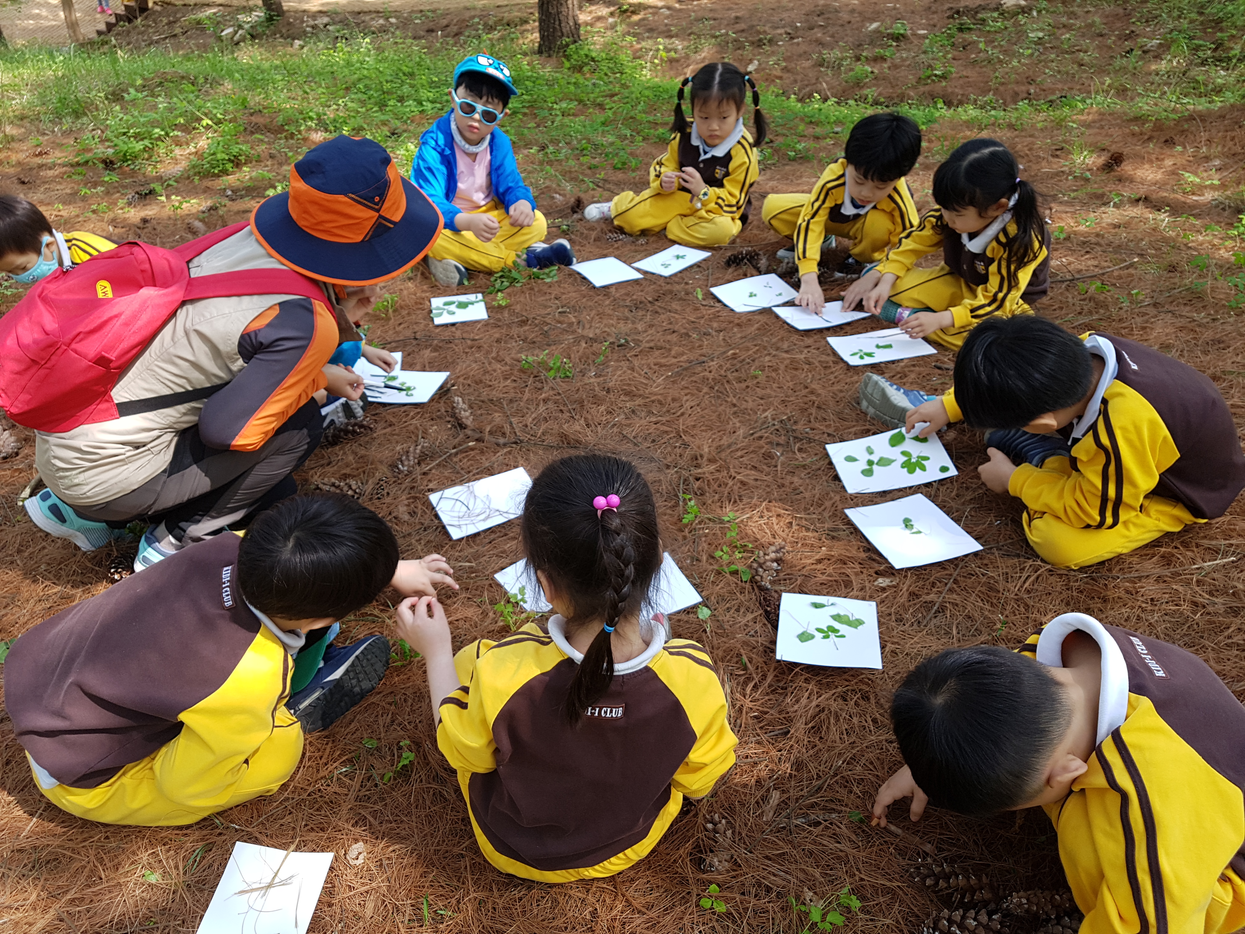 얘들아~ 숲에서 신나게 놀자~~ 이미지2