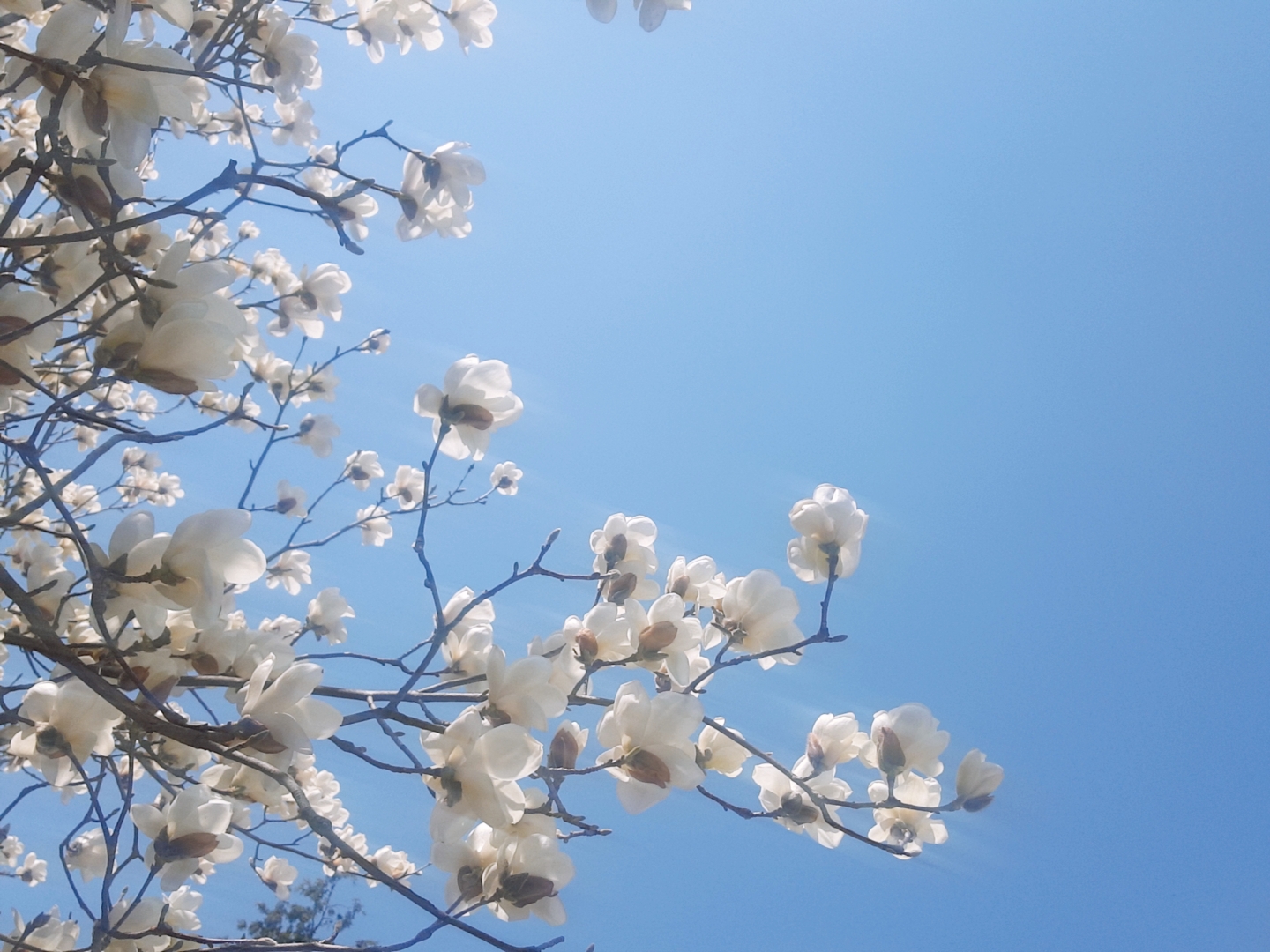 산림환경연구소