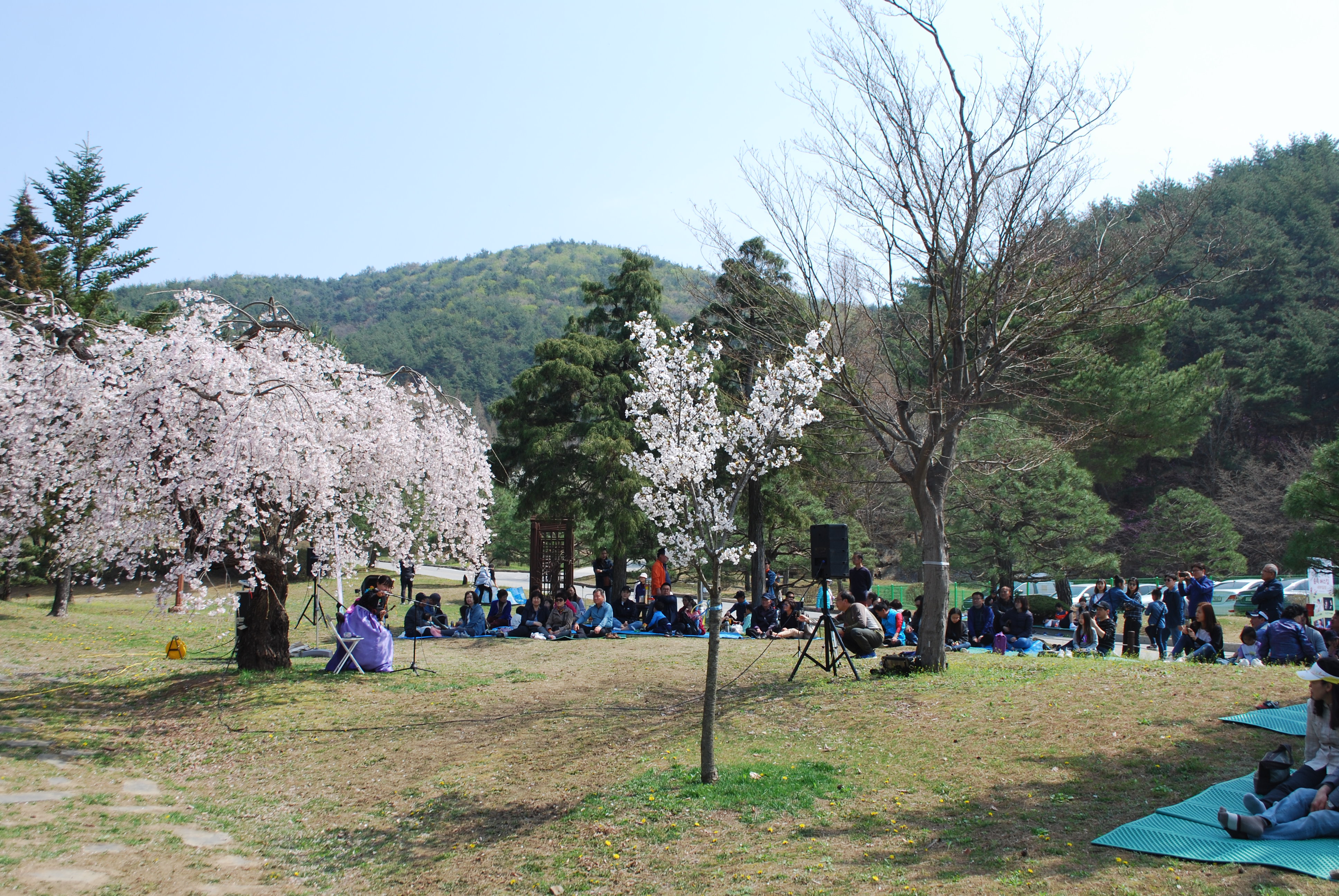미동산수목원 숲속 버스킹(4.20.) / 해금연주자 은한 이미지3