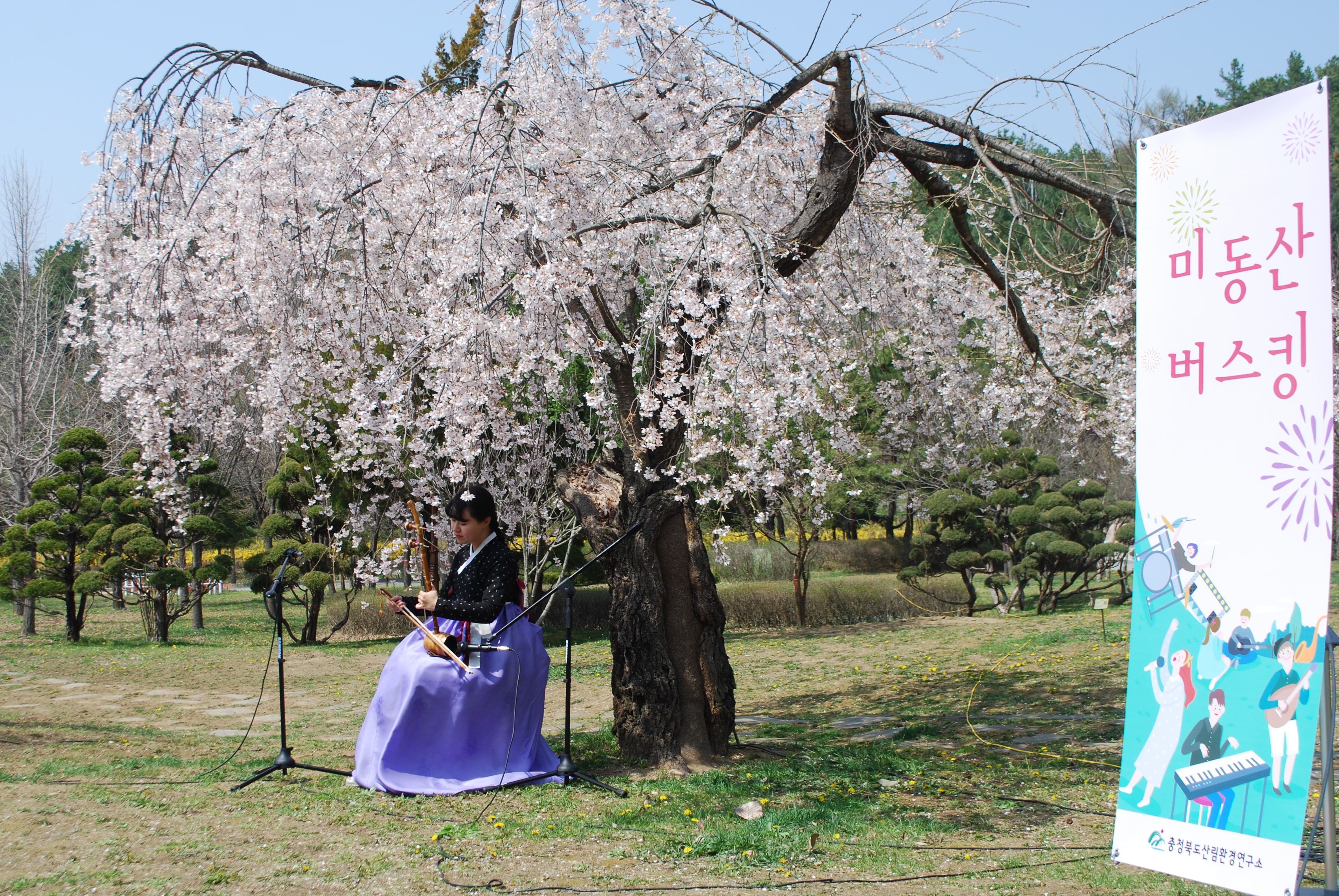 미동산수목원 숲속 버스킹(4.20.) / 해금연주자 은한 이미지4