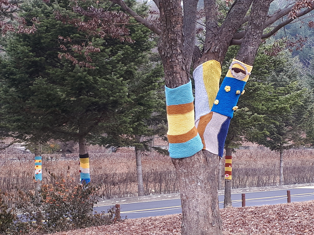 나무들의 겨울 준비(Graffiti knitting) 이미지3