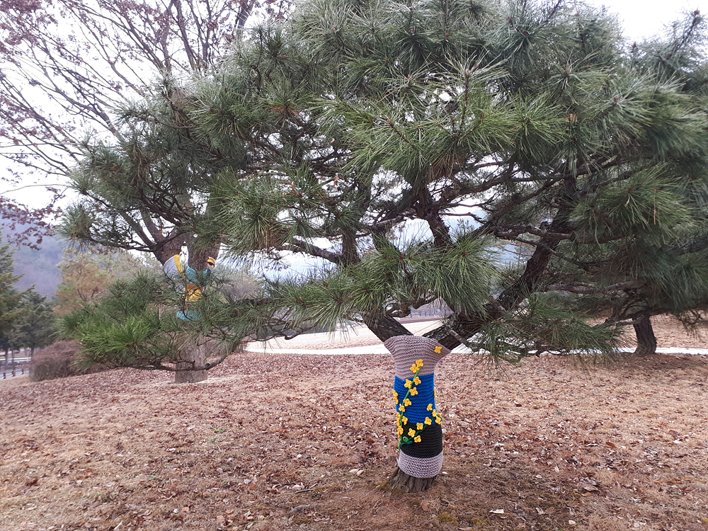 나무들의 겨울 준비(Graffiti knitting) 이미지5