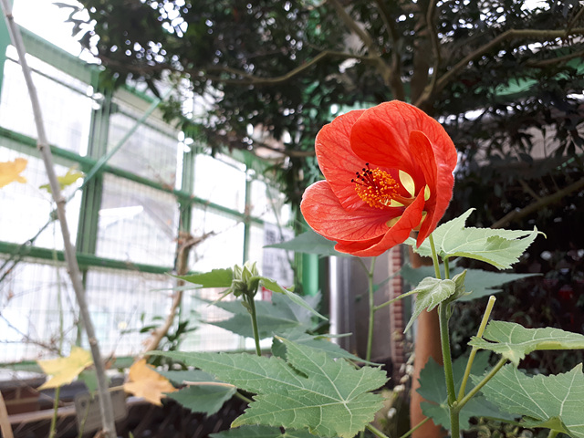 3월의 난대식물원 이미지5