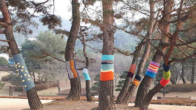 또 다시 겨울... 그리고 그래피티 니팅(Graffiti knitting) 이미지3