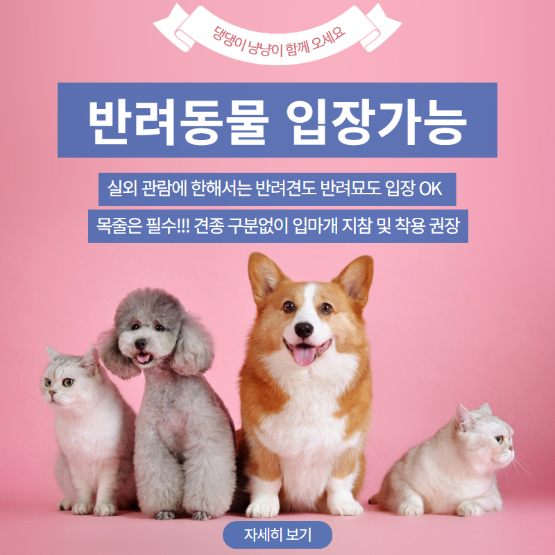 반려동물 입장가능 (1)