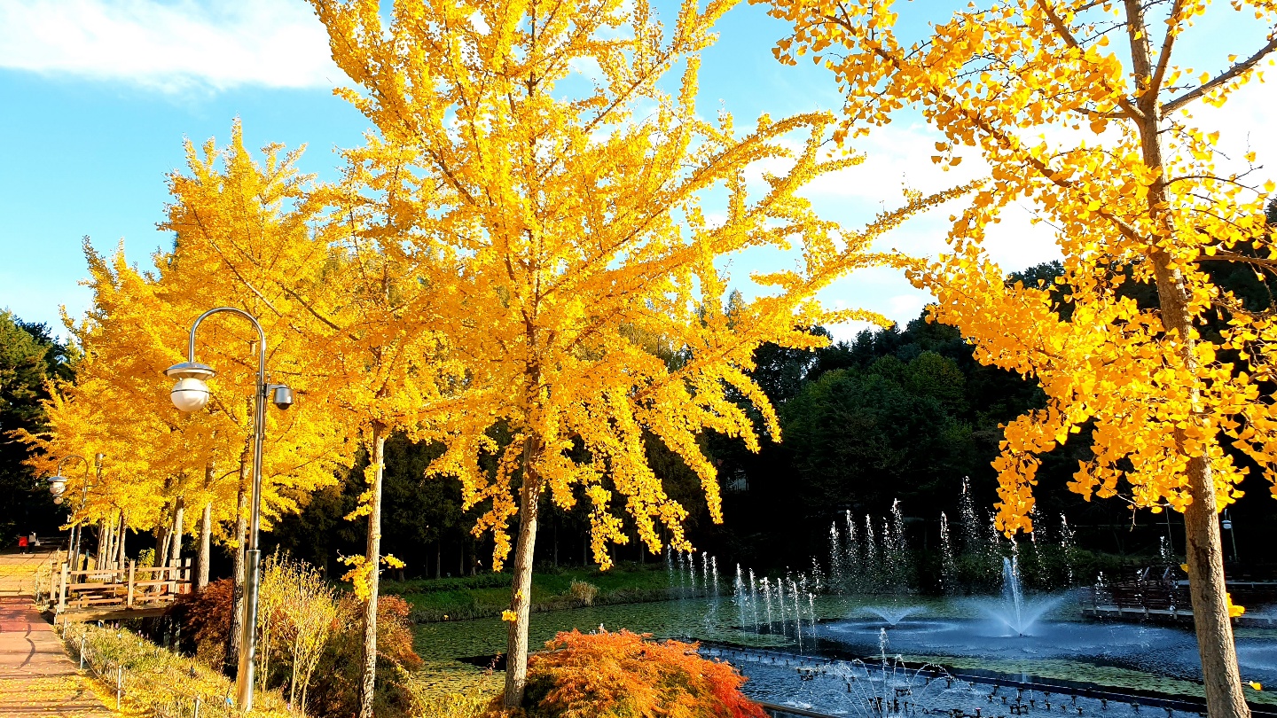 IMG_5934